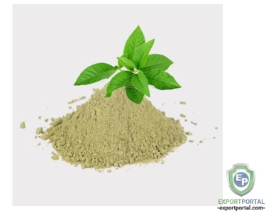 Kalmegh Extract (Andrographis Paniculata)