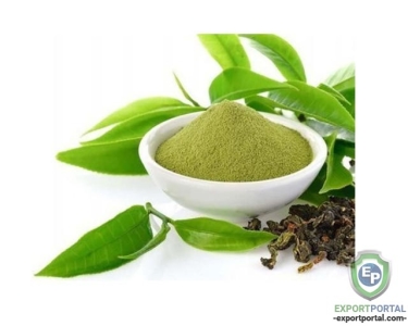 Green Tea Extract 90%