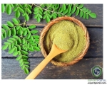 Moringa Powder (Saponin 10%)