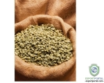 Green Coffee Extract 45%