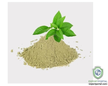 Andrographis Paniculata Extract