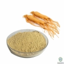 Ginseng Extract (Panax Zinseng 20% )