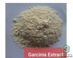 Garcinia Cambogia Extract