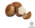 Shea nuts