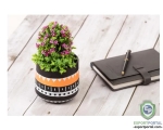 Karru Krafft ZigZag Painted Clay indoor Planters set