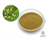 Dandelion Extract (Taraxacum Officinale) 10%