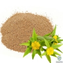 Roseroot Extract (Rhodiola Rosea) 5%