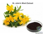 St. John's Wort Extract