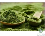 Chlorella Extract