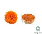 Zeaxanthin / Marigold Extract 5%
