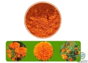 Zeaxanthin / Marigold Extract 5%