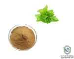 Tulsi Extract (2.5% Ursolic Acid )