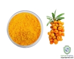 Seabuckthorn Extract Powder
