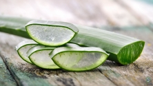 Natural Aloe Vera Gel