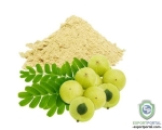 Organic Amla Powder