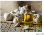 Garlic Oil (Allium Sativum)