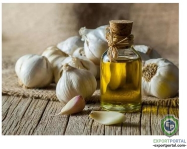 Garlic Oil (Allium Sativum)