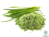Organic Wheat Grass Extract (Triticum Sativum) 10%