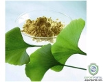 Ginkgo Biloba Extract