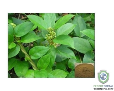 Gudmar Extract (Gymnemic Acid 50%)