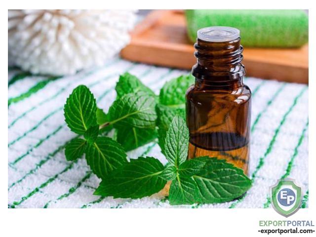 Peppermint Oil (Mentha Piperita)