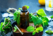 Peppermint Oil (Mentha Piperita)
