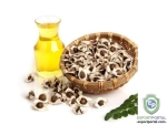 Moringa Oil (Moringa Oleifera)