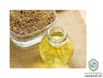 Ajwain Oil (Trachyspermum Copticum)