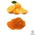 Orange Dry Fruit Extract