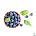Natural Blueberry Extract 10%