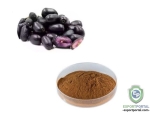Jamun Extract (Tannin 20%)
