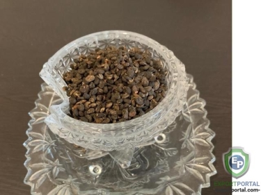 Bakuchi/Bavachi Seed (Psoralea Corylifolia)