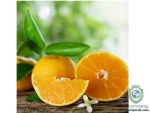 Orange Fruit Extract