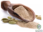 Elettaria Cardamomum Extract (Cardamom)