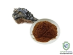 Organic Shilajit Powder