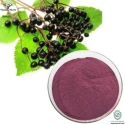 Elderberry Extract (Sambucus Nigra) 10%