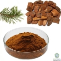 Bark Pine Brak Extract (Pinus Maritima) 95%