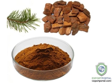 Bark Pine Brak Extract (Pinus Maritima) 95%