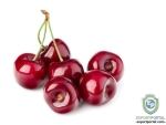 Wild Cherry Extract (Prunus Serotina)10%