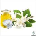 Jasmine Oil