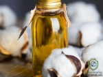 Cotton Seed Oil
