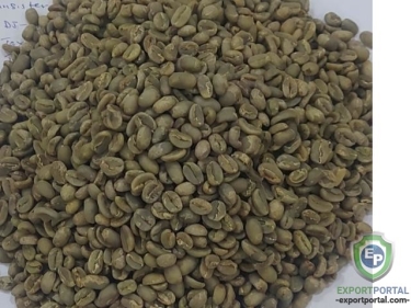 Ethiopian Green Beans Coffee, Original Nekemti Grade 4