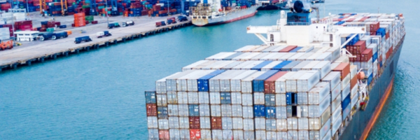 October Update with Export Portal