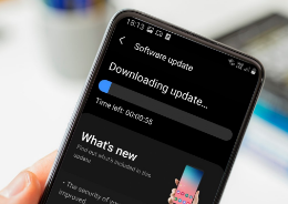 Maintain Software Updates