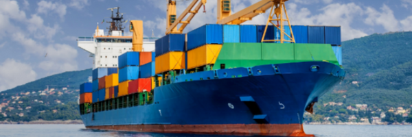 July Update with Export Portal