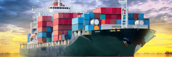 February Update with Export Portal