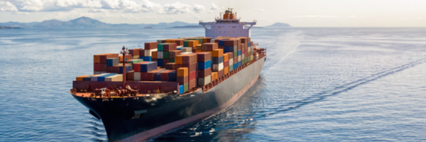 December Update with Export Portal