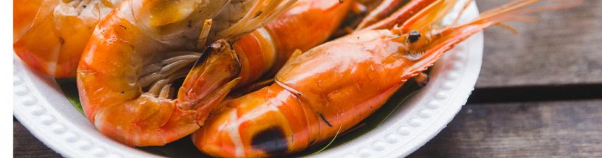 This Week in Trade | 11/14 - 11/18