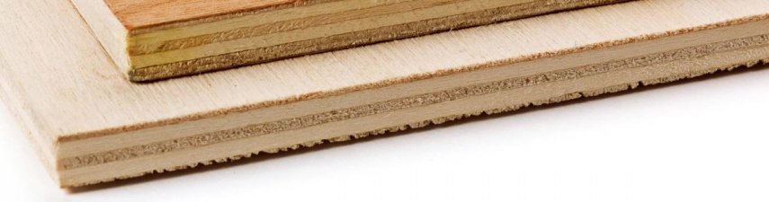 This Week in Trade | 11/28 - 12/02