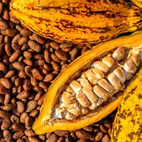 Hassan Mohammad Maaruf